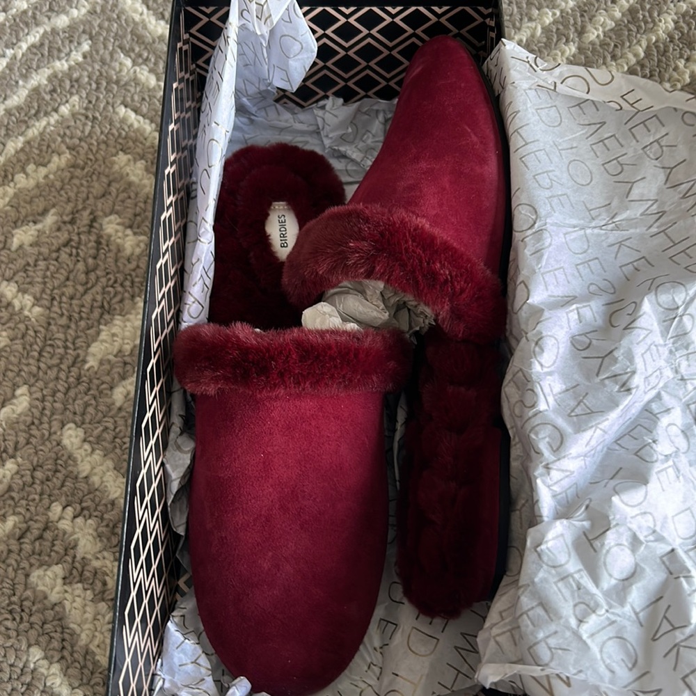 BNIB BIRDIES the songbird slide size 8